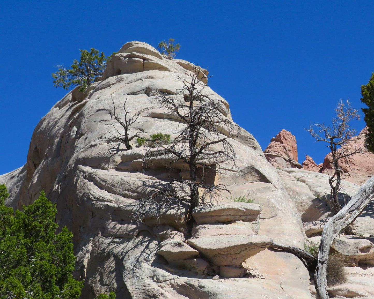 Southwestern Photo Prints, Breathtaking Original Photography, Signed Prints 8X8 inches, luster finish, affordable