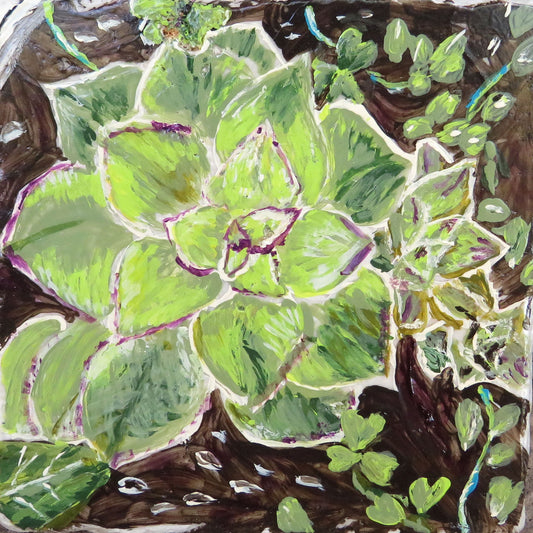Botanical Art Print - Handmade Signed Succulent Painting 8x8, Perfect Home Decor