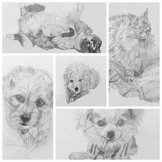 Charming Hand-Drawn Cat & Dog Note Cards, Linen Cardstock 5.5X4, Perfect Pet Lover Stationery - Set of 5