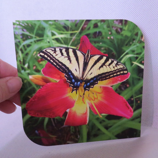 Botanical Daylily Cards - Set of 3, 4x4, Perfect for Valentine's, Thank Yous & All Occasions, Includes Envelopes