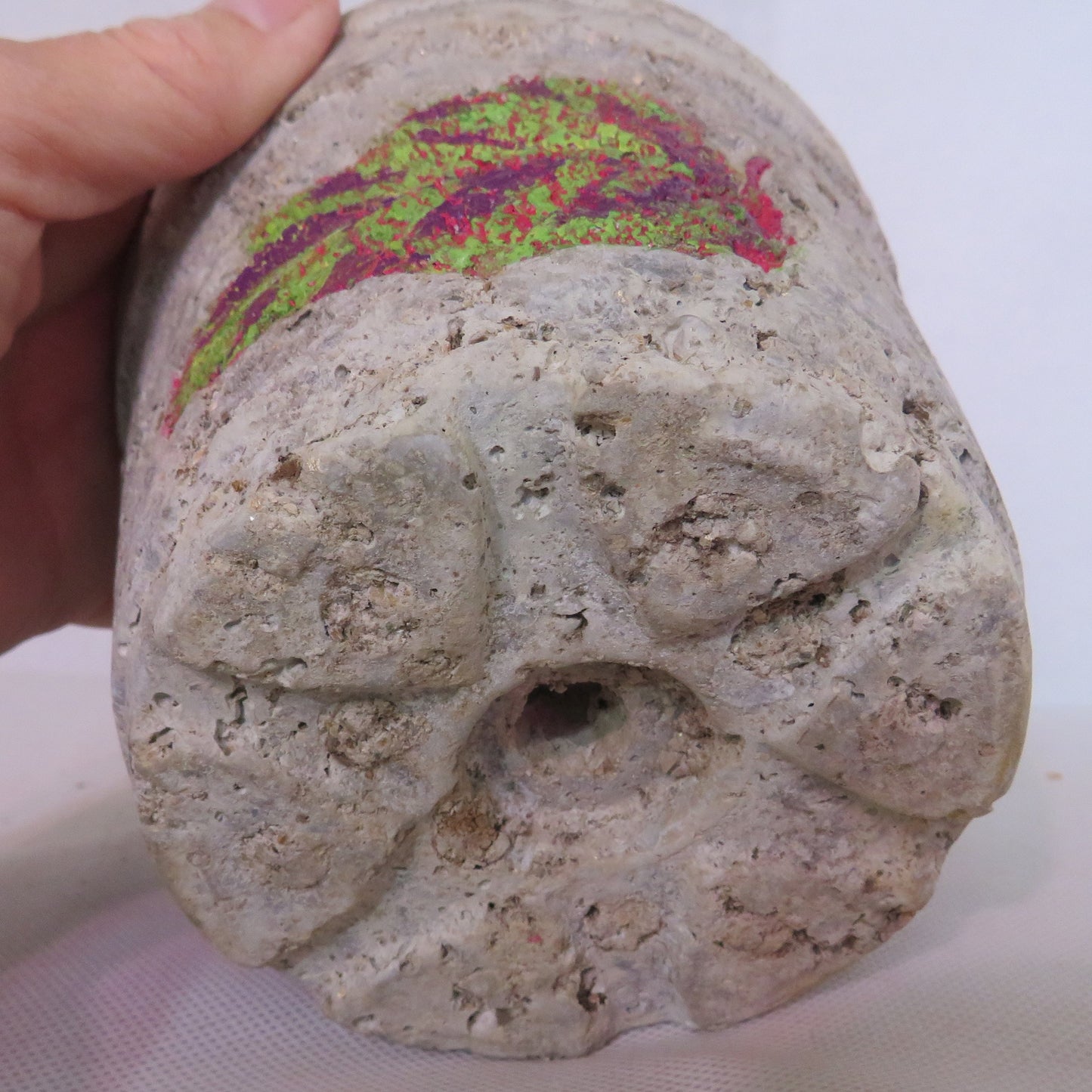 Handcrafted Hypertufa Planter with Coleus Leaf Design, Vibrant Garden Decor, Unique 4.5 Flower Pot