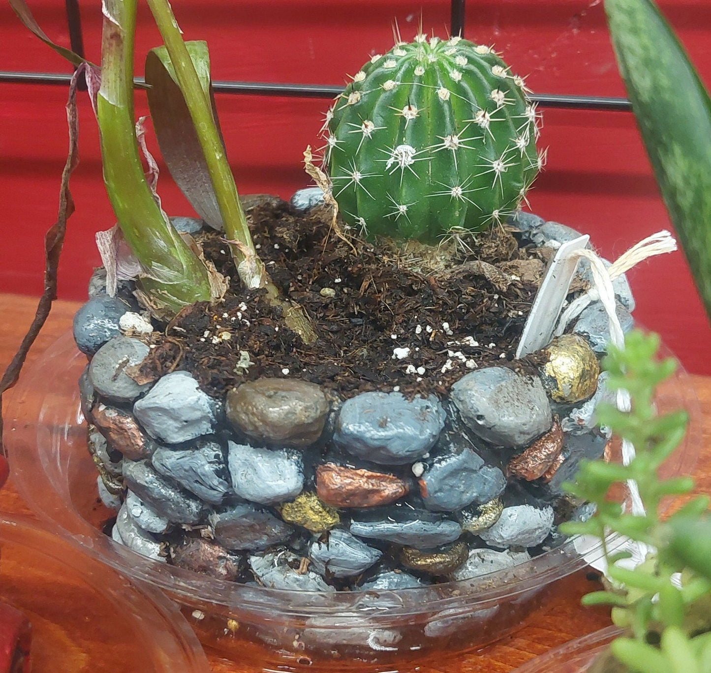 Colorful Pebble Cement Succulent Planter | Small Round Decorative Pot with Optional Faux Plants