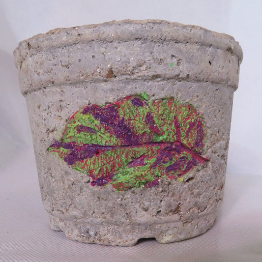 Handcrafted Hypertufa Planter with Coleus Leaf Design, Vibrant Garden Decor, Unique 4.5 Flower Pot