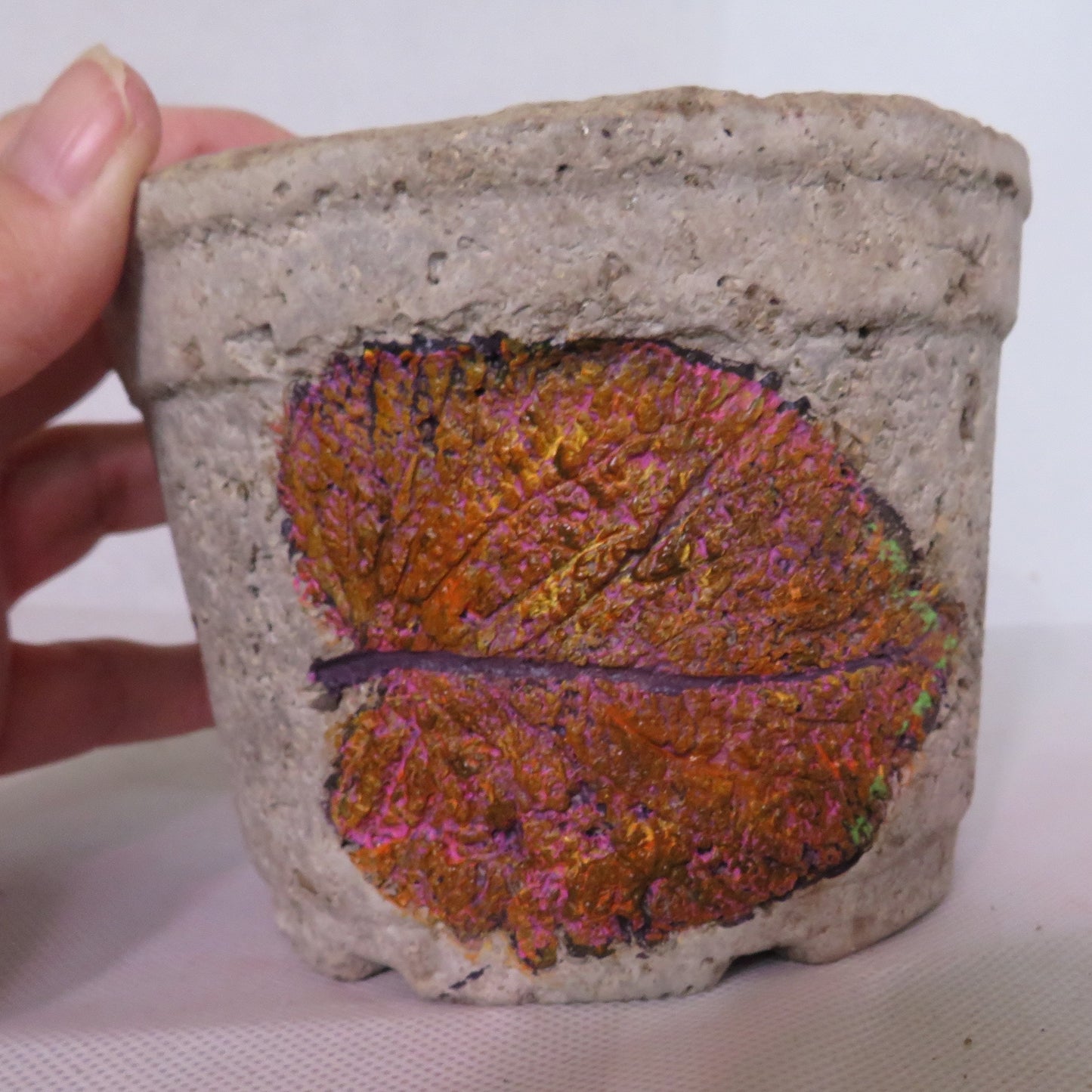 Handcrafted Hypertufa Planter with Vibrant Coleus Leaf Impressions, Perfect for Indoor Plants