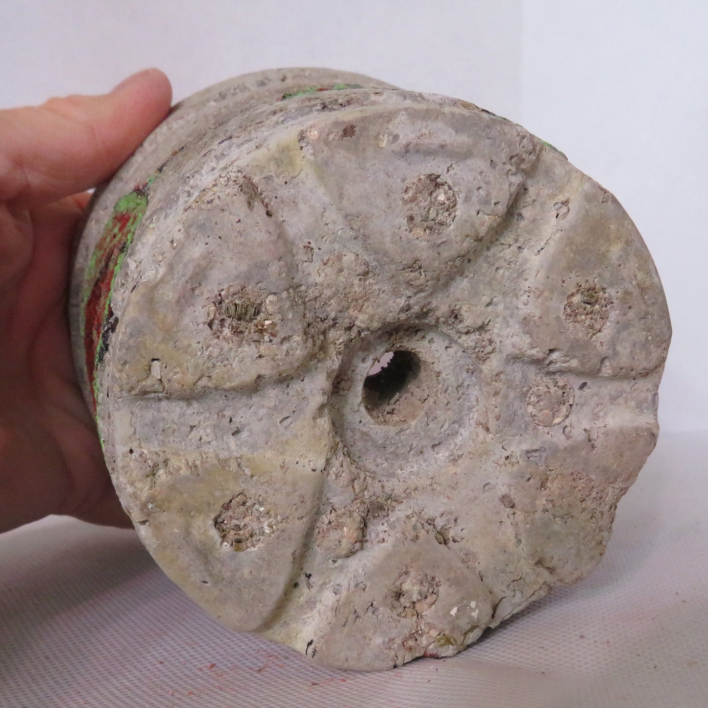 Handcrafted Hypertufa Planter with Vibrant Coleus Leaf Impressions, Perfect for Indoor Plants