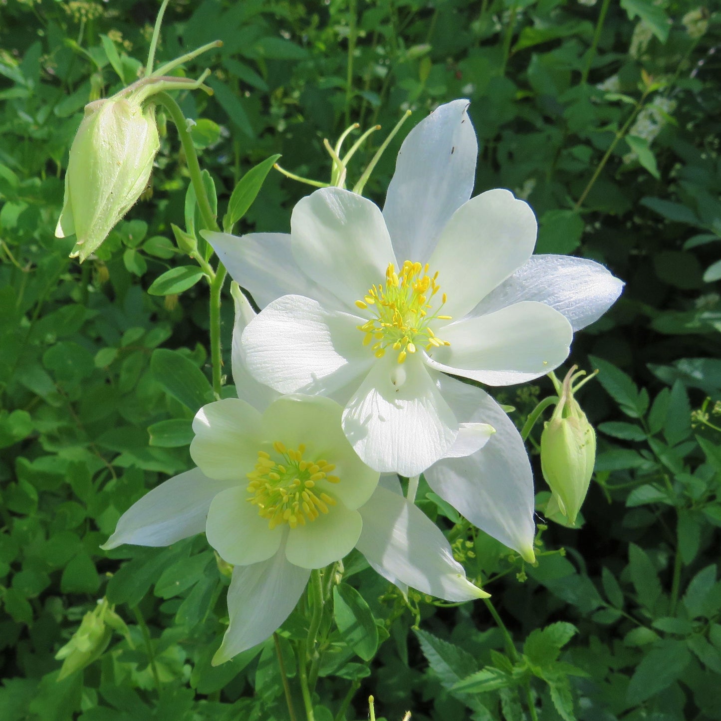 Southwestern Photo Prints, Breathtaking Original Photography, Signed Prints 8X8 inches, luster finish, affordable