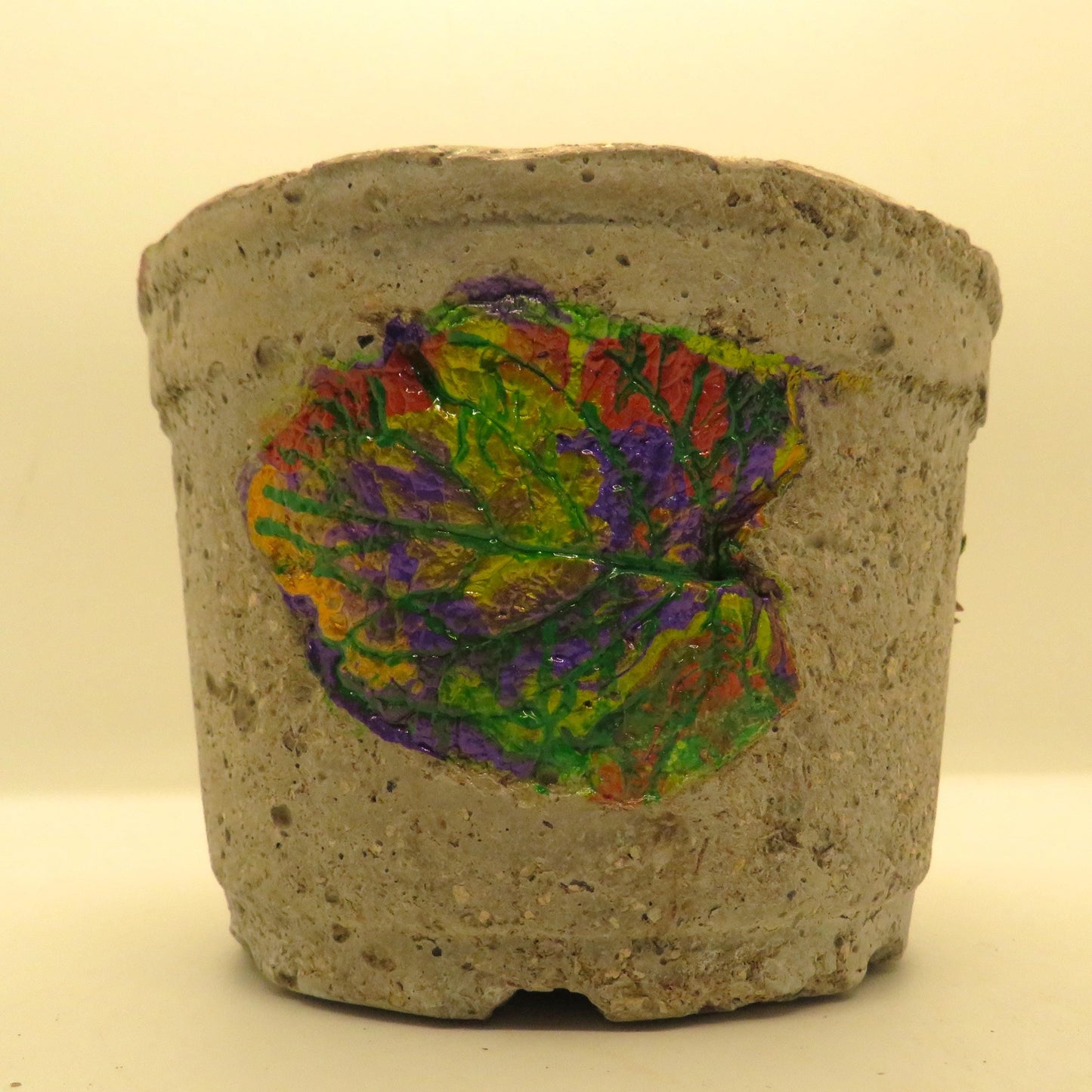 Unique Handmade Hypertufa Planter with Fall Coleus Leaf Imprints - Indoor Outdoor Succulent Pot