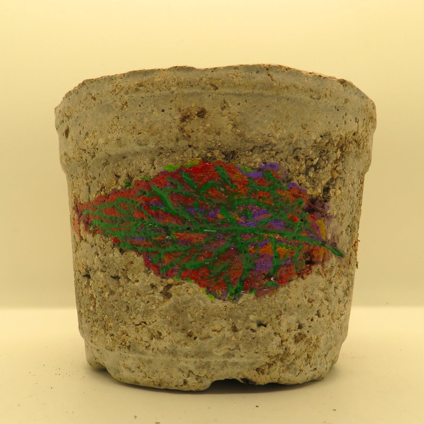 Handmade Rustic Hypertufa Pot with Fall Leaf Imprints - Ideal for Succulents - Unique Garden Decor