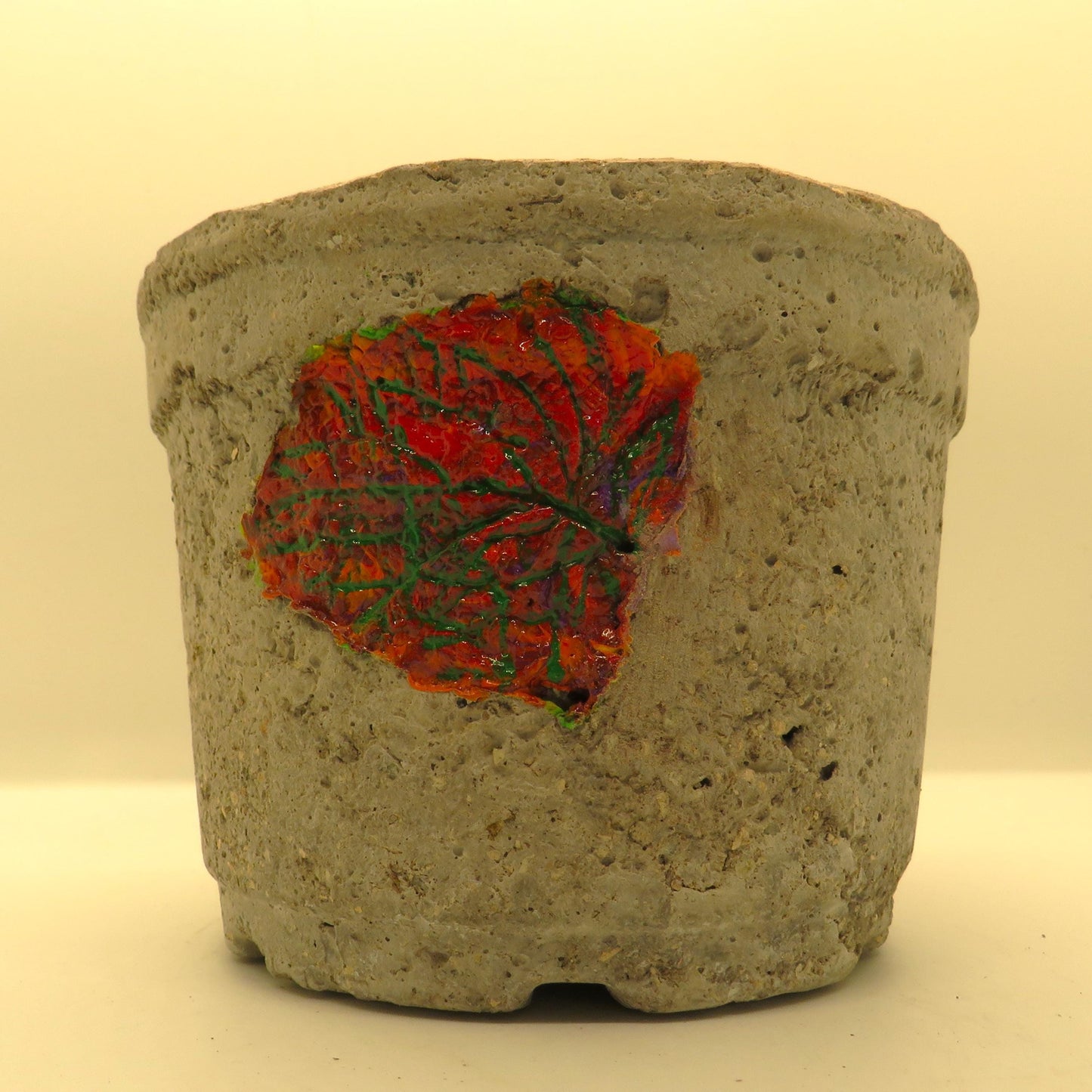 Unique Handmade Hypertufa Planter with Fall Coleus Leaf Imprints - Indoor Outdoor Succulent Pot